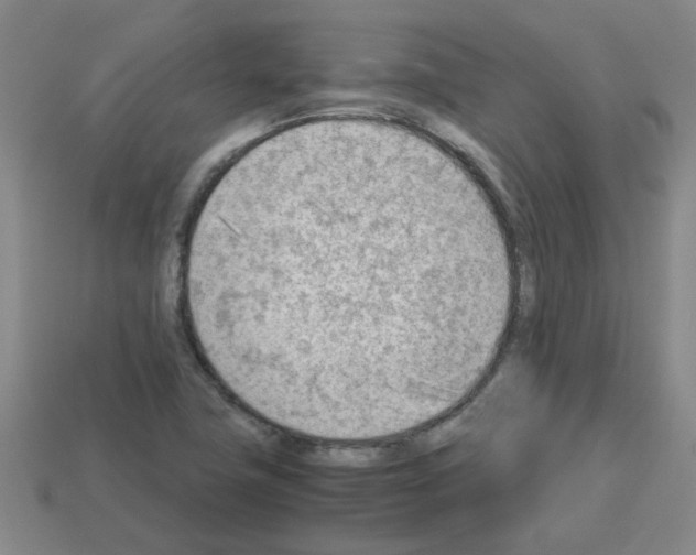 X0000112811411200910021131