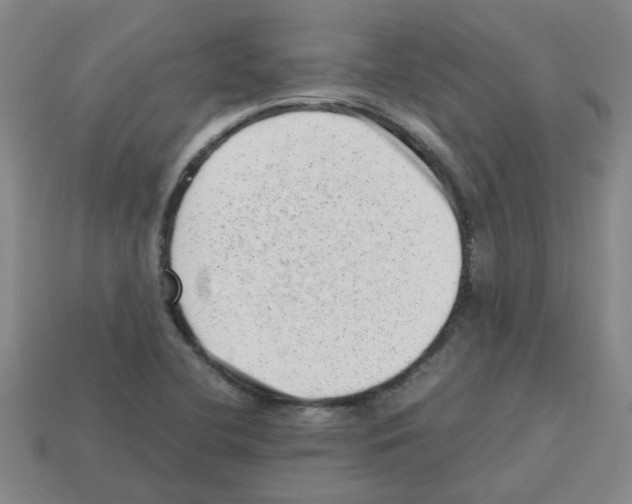 X0000112811412200910021131