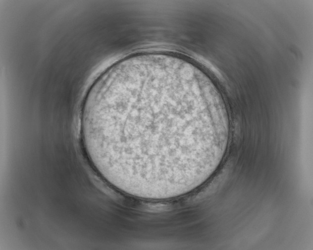 X0000112811413200910021131