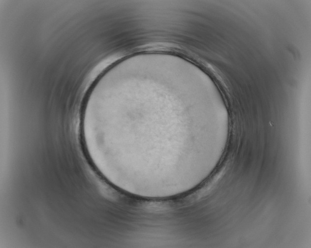 X0000112811418200910021131