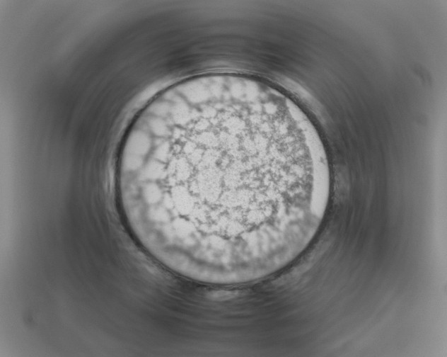 X0000112811419200910021131