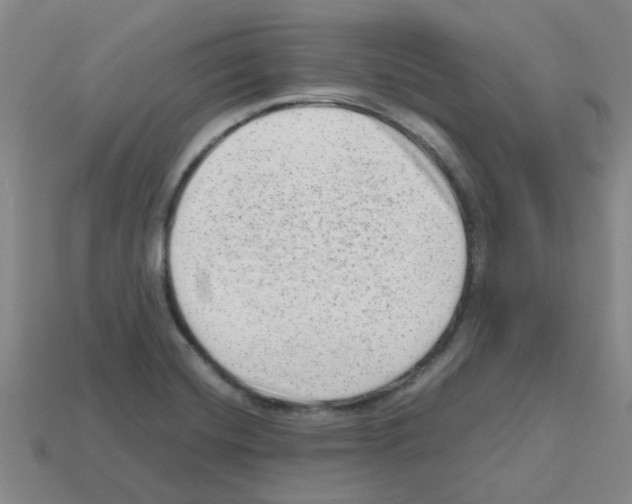 X0000112811420200910021131