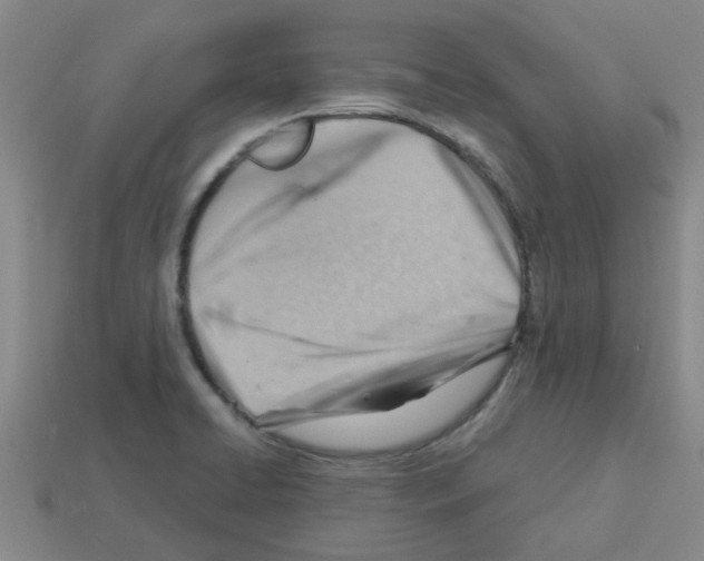 X0000112811422200910021131