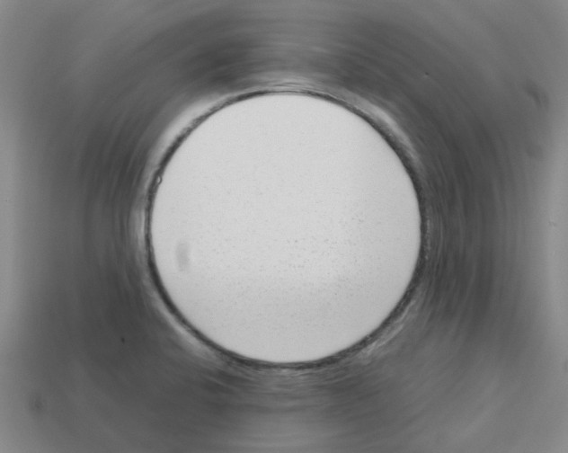 X0000112811424200910021131