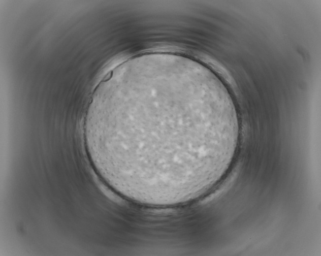 X0000112811425200910021131