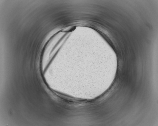X0000112811426200910021131