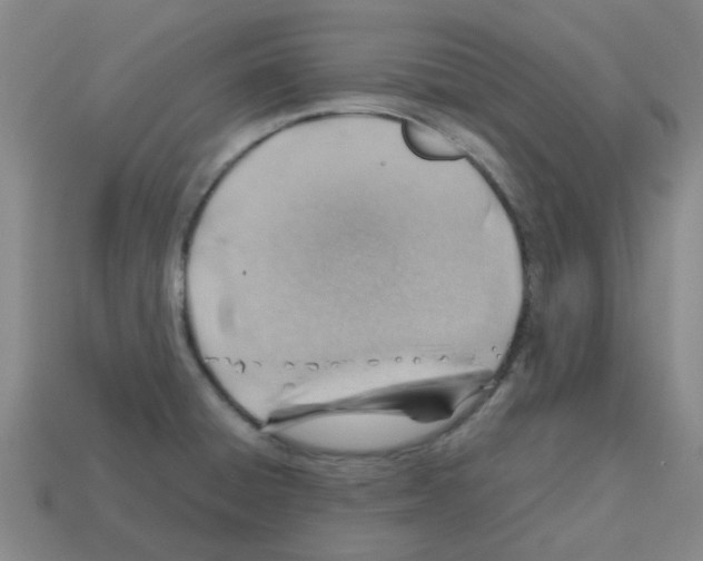 X0000112811428200910021131