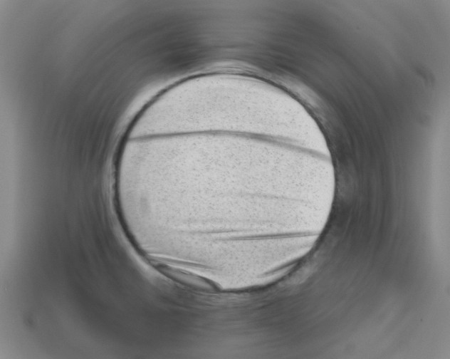 X0000112811430200910021131