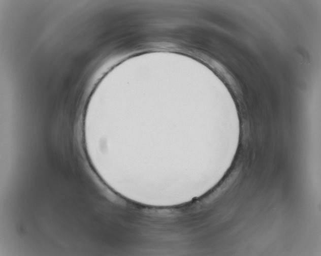 X0000112811432200910021131