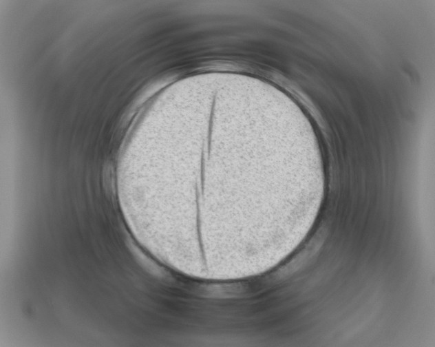 X0000112811433200910021131