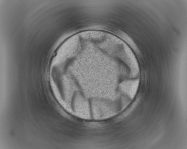 X0000112811436200910021131
