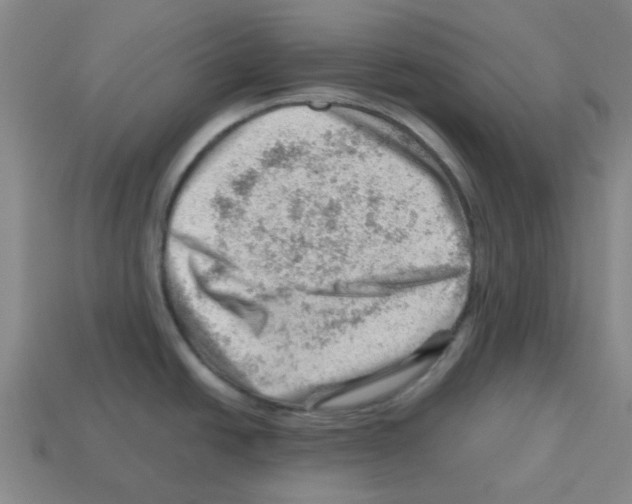 X0000112811438200910021131