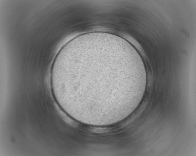 X0000112811439200910021131