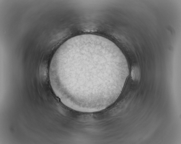X0000112811444200910021131