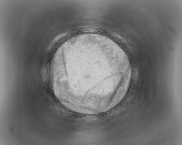X0000112811446200910021131