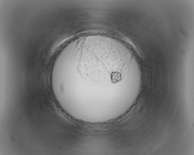 X0000112811448200910021131