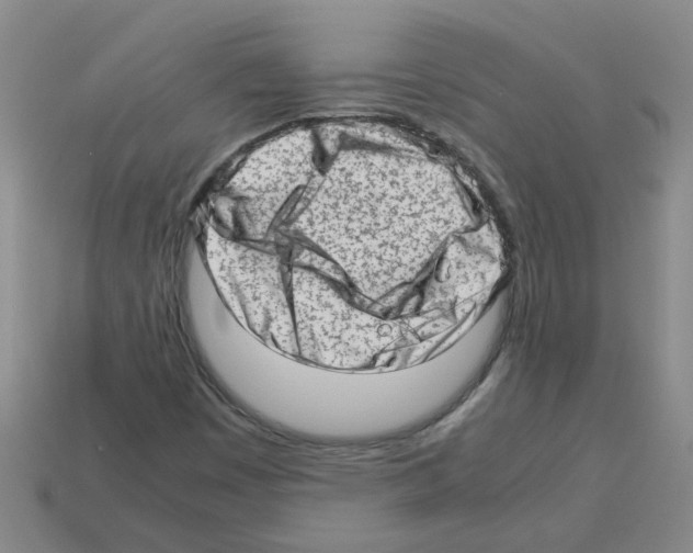 X0000112811449200910021131