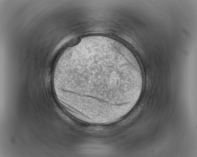 X0000112811450200910021131