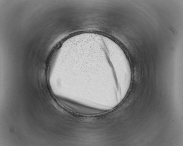 X0000112811452200910021131