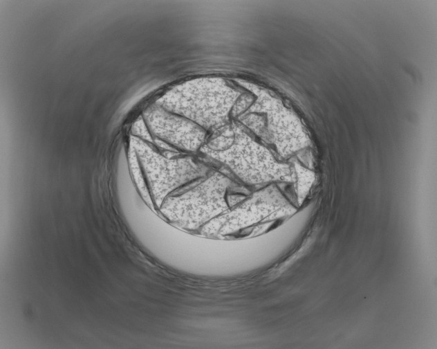 X0000112811453200910021131