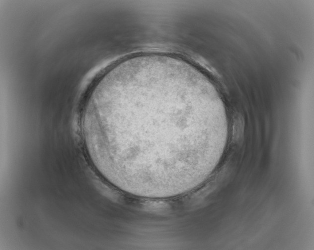 X0000112811454200910021131