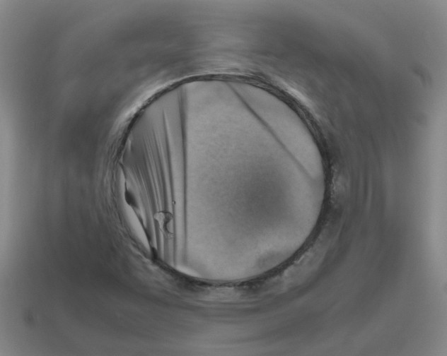 X0000112811455200910021131