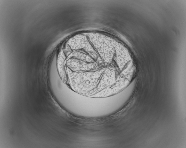 X0000112811456200910021131