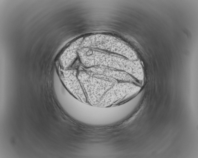 X0000112811457200910021131