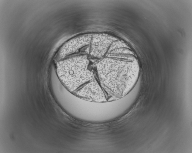 X0000112811459200910021131