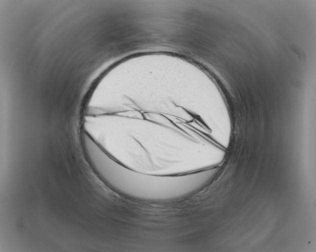 X0000112811460200910021131
