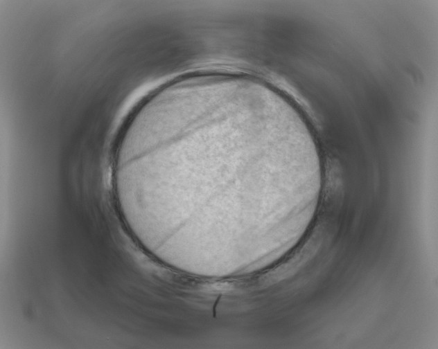 X0000112811462200910021131