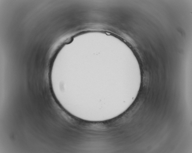 X0000112811464200910021131