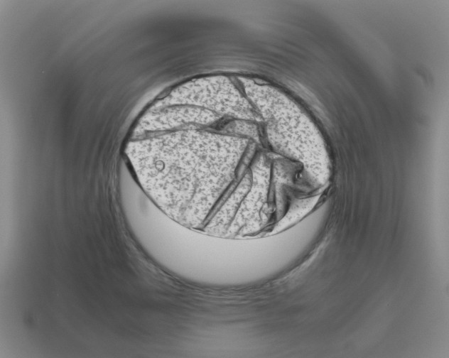 X0000112811465200910021131