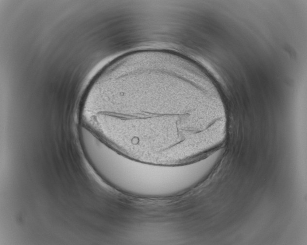 X0000112811468200910021131