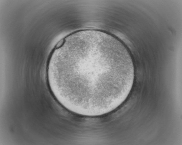 X0000112811469200910021131