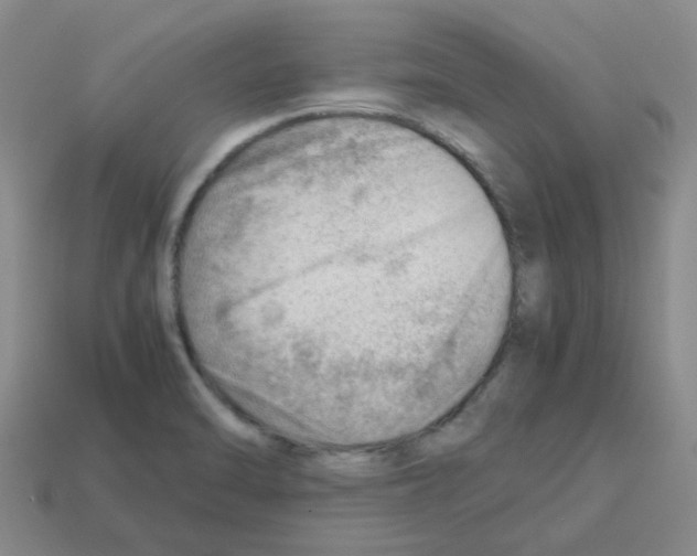 X0000112811470200910021131