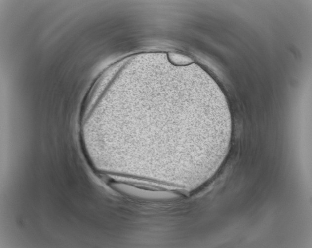 X0000112811471200910021131