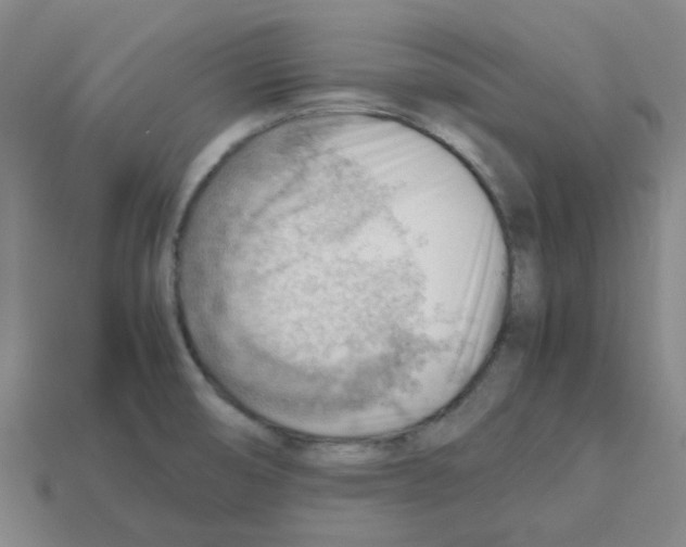 X0000112811474200910021130