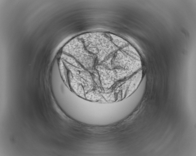 X0000112811476200910021130