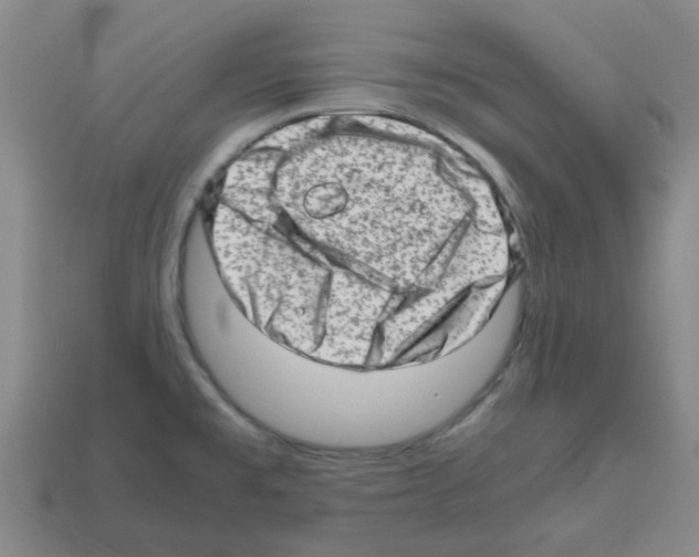 X0000112811477200910021130