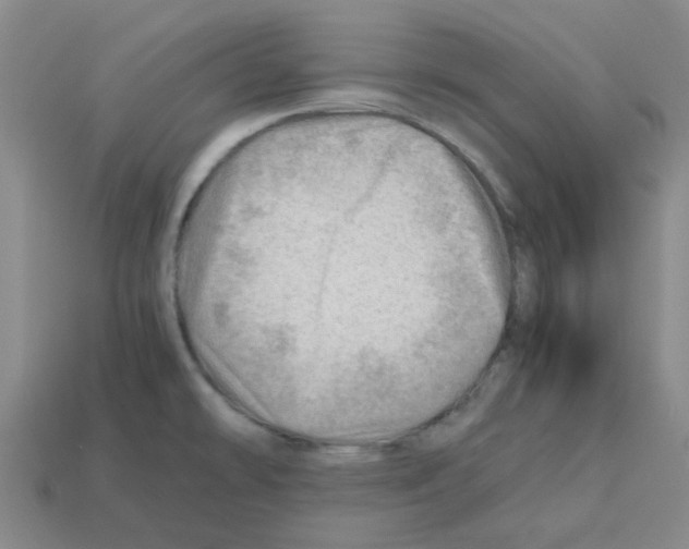 X0000112811478200910021130