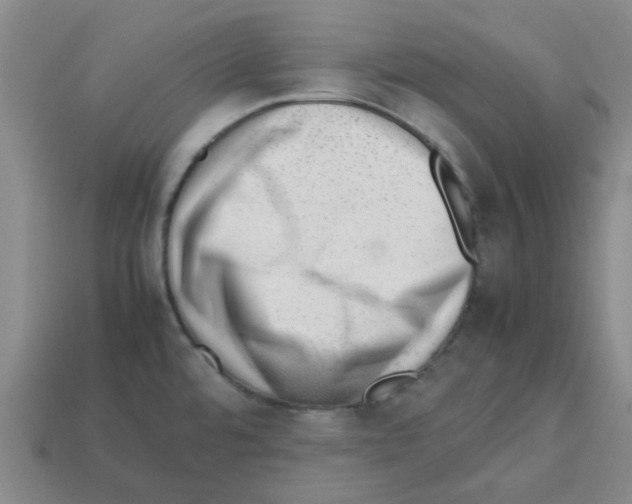 X0000112811480200910021130
