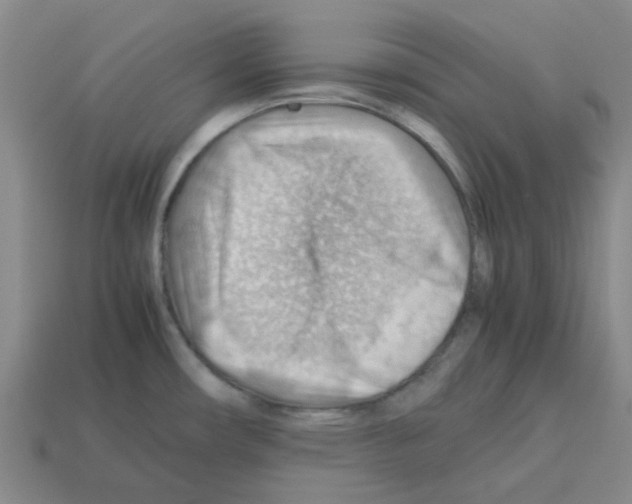 X0000112811482200910021130