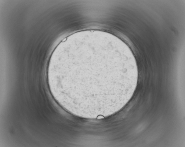 X0000112811483200910021130