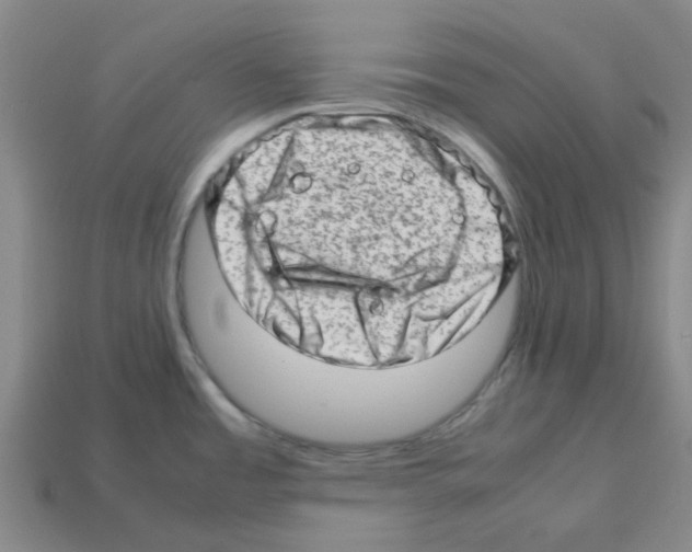 X0000112811485200910021130