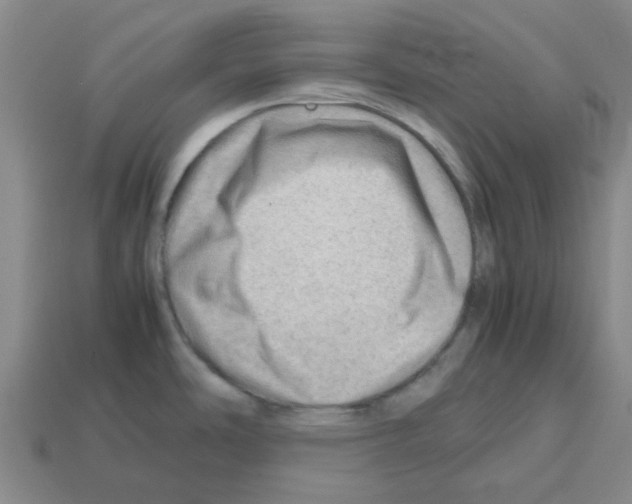 X0000112811486200910021130