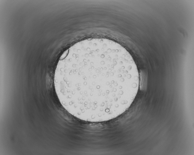 X0000112811491200910021130