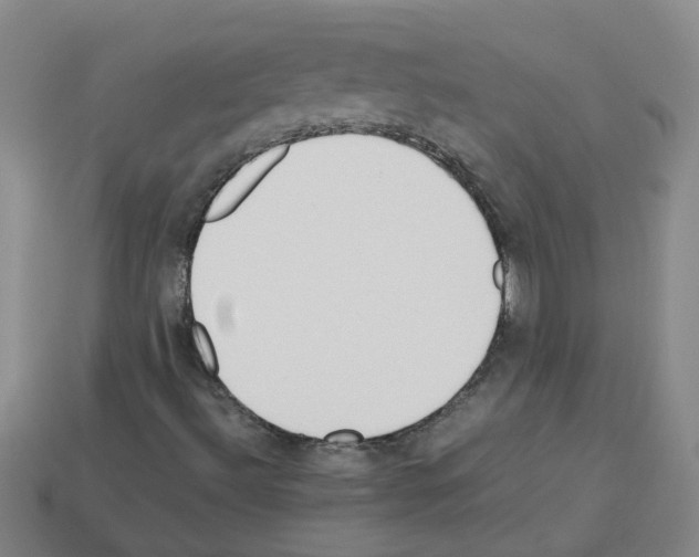 X0000112811492200910021130