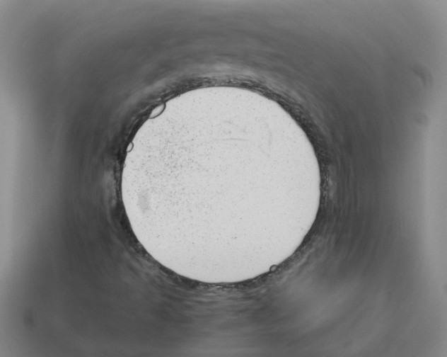 X0000112811493200910021130