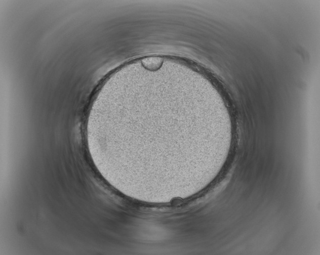 X0000112811497200910021130